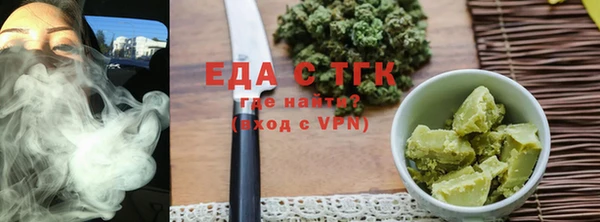 spice Дмитриев