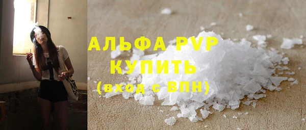 spice Дмитриев