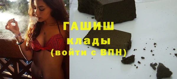 хмурый Дмитров
