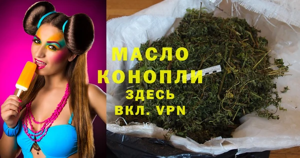 хмурый Дмитров