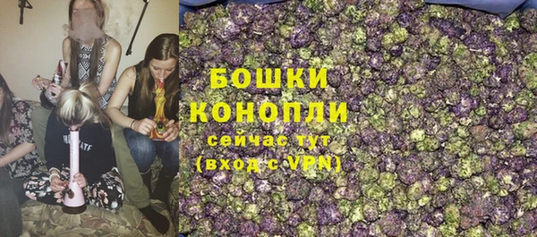 хмурый Дмитров