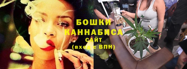 spice Дмитриев