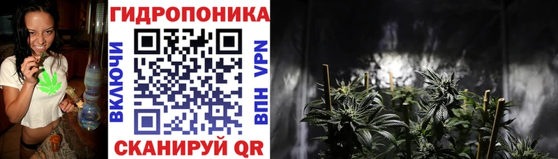 купить  цена  Ростов  Каннабис SATIVA & INDICA 